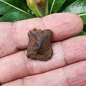 Gebel Kamil Meteorit - Eisen Meteorit - Meteorit Gestein - aus Ägypten - 4.5gr - Sammlung - Meteorit - Camille Eisen Meteorit