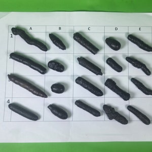 May include: A grid with letters A through E across the top and numbers 1 through 4 down the side. Each cell contains a black, irregularly shaped object.