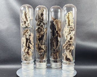 Fulgurite Lightning Glass . FULGURITE Stone . Lightning Strikes . Hollow Glass Tube . Sahara Desert Lightning . Fulgurite Grade B . 22GR