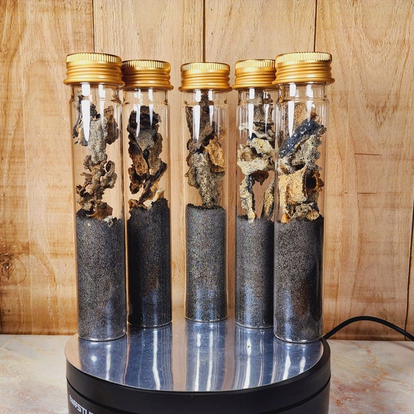 Sahara Fulgurite: Lightning Glass with Volcano Ash (63gr)