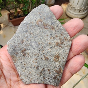 Puede incluir: Una piedra gris de forma irregular con una superficie rugosa y texturizada. La piedra tiene manchas marrones y grises oscuras y se sostiene en una mano. La piedra parece ser un espécimen natural sin pulir.