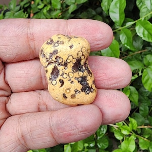 Gobi Augen Achat Natürlicher Gobi Achat.  Wüste Gobi Ägypten . 49GR Hochwertiger Gobi Achat. Heilstein Achat. Beruhigender Kristall