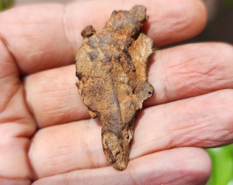 ジェベル・カミル鉄隕石標本 – 33グラム、エジプト産