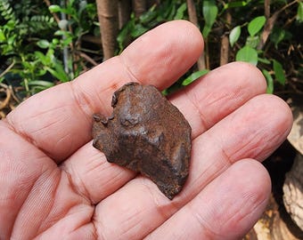 ゲベル・カミル鉄隕石 – 33グラムのエジプト隕石標本