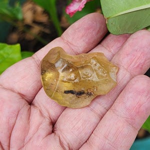 Natural Libyan Desert Glass Tektite Crystal: Gold Sahara Gemstone (19GR, 25.8x12x29.9MM)