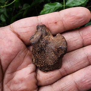 Gebel Kamil Meteorit - Eisen Meteorit - Meteorit Gestein - aus Ägypten - 45gr - Sammlung - Meteorit - Camille Eisen Meteorit
