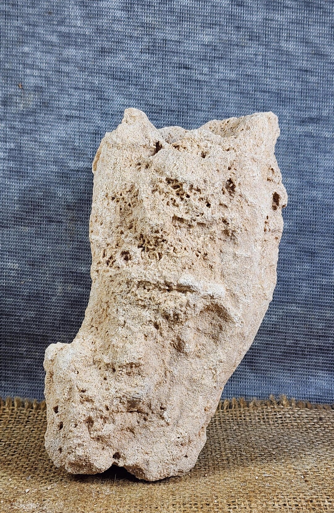 Fulgurite: Large Sahara Lightning Fused Sand Glass Tube - Coastal Decor ...