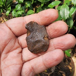 Gebel Kamil Meteorit - Eisen Meteorit - Meteorit Gestein - aus Ägypten - 50gr - Sammlung - Meteorit - Camille Eisen Meteorit