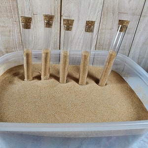 Peut inclure: Un récipient en plastique transparent rempli de sable beige. Cinq tubes à essai en verre transparent avec des bouchons en liège sont insérés dans le sable. Les tubes à essai sont partiellement remplis de sable.