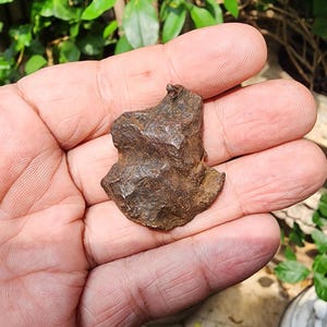 Gebel Kamil Meteorit - Eisen Meteorit - Meteorit Gestein - aus Ägypten - 43gr - Sammlung - Meteorit - Camille Eisen Meteorit