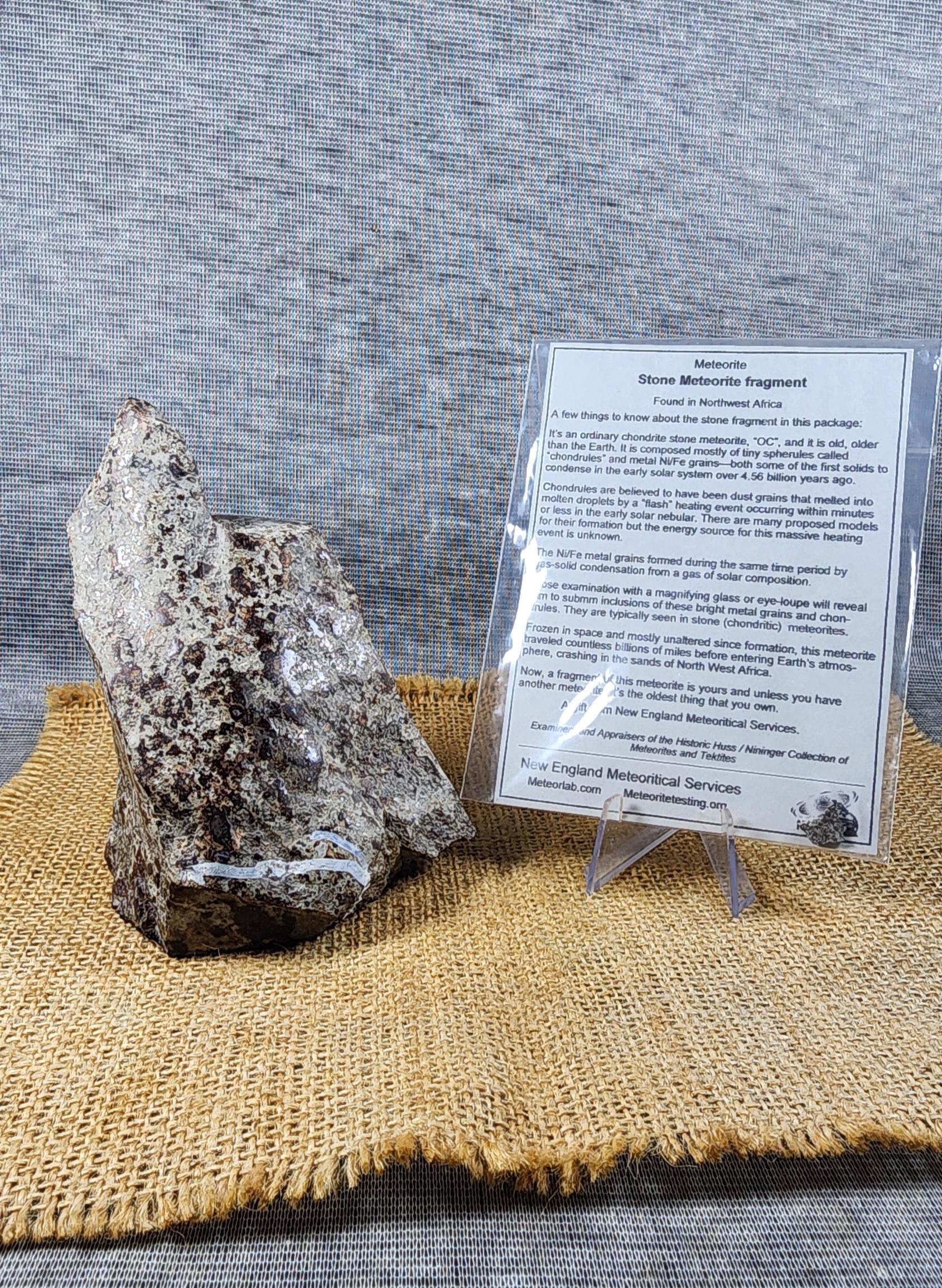 コンドライトL6隕石スライス：サハラ砂漠標本、1105グラム - Etsy 日本