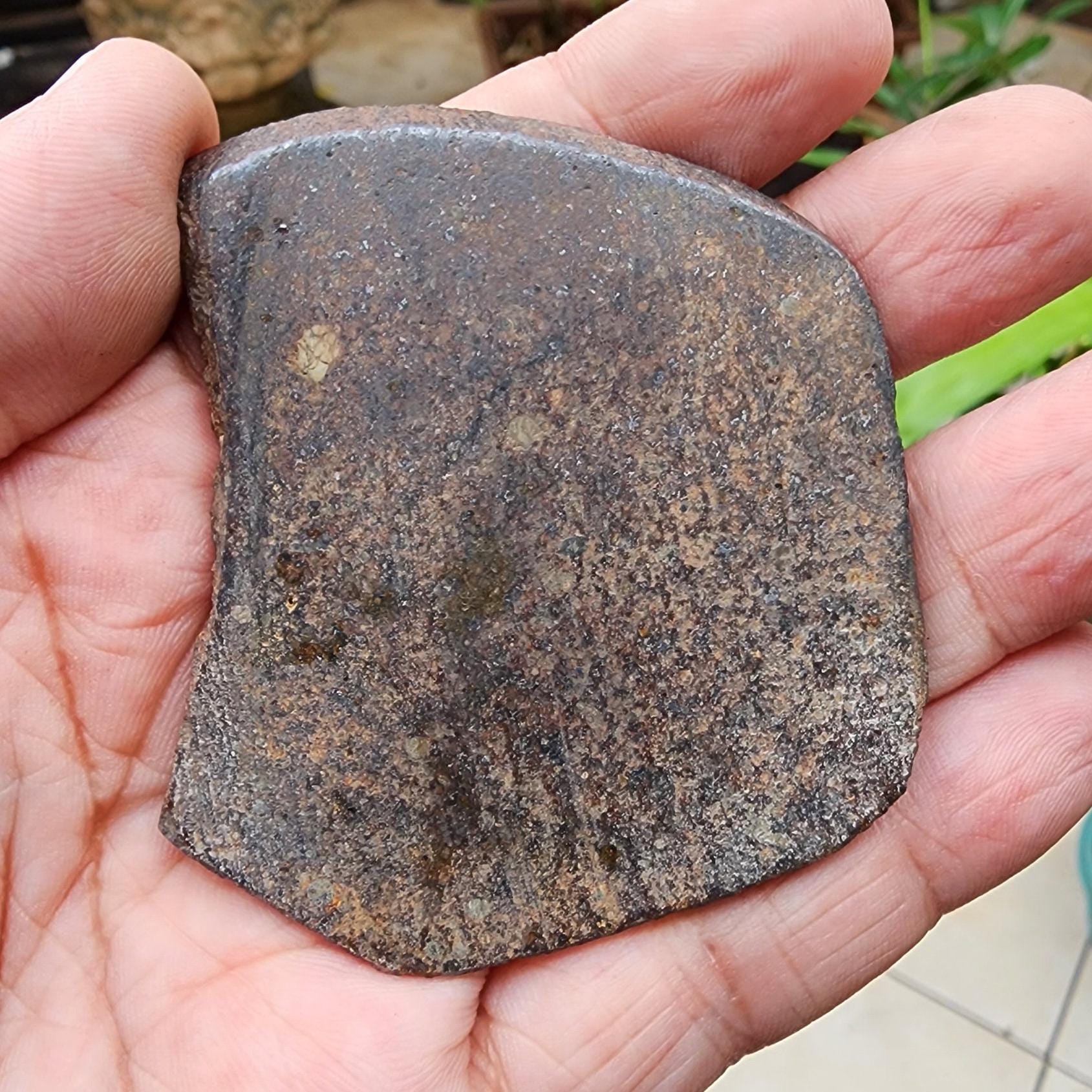 サハラ砂漠 隕石 コンドライト 30mm サハラ砂漠 隕石 コンドライト