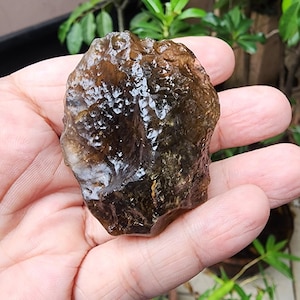 Verre du désert de Libye. ldg vert foncé. Tectite aurifère libyenne. Verre libyen. Cristal du désert de Libye. 60,5 g tektite. LDG