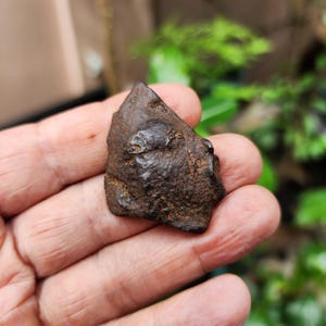 Gebel Kamil Meteorit - Eisen Meteorit - Meteorit Gestein - aus Ägypten - 35gr - Sammlung - Meteorit - Camille Eisen Meteorit