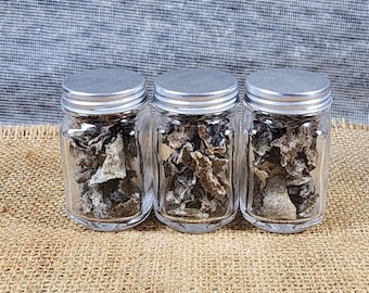 Sahara Desert Fulgurite: Lightning Fused Sand . Fulgurite Jar OF GLASS