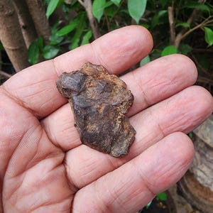 Gebel Kamil Meteorit - Eisen Meteorit - Meteorit Gestein - aus Ägypten - 36gr - Sammlung - Meteorit - Camille Eisen Meteorit