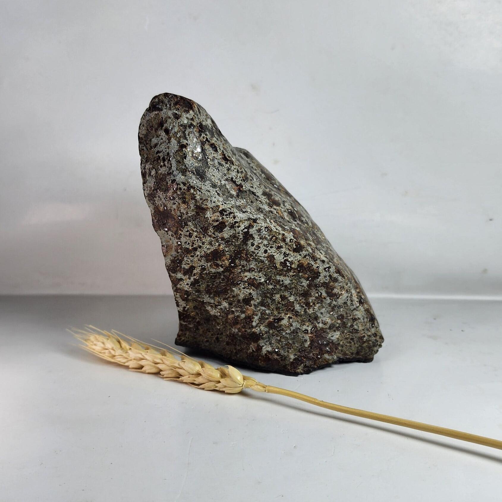 コンドライトL6隕石スライス：サハラ砂漠標本、1105グラム - Etsy 日本