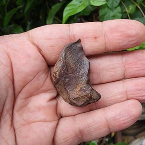 Gebel Kamil Meteorit - Eisen Meteorit - Meteorit Gestein - aus Ägypten - 45gr - Sammlung - Meteorit - Camille Eisen Meteorit