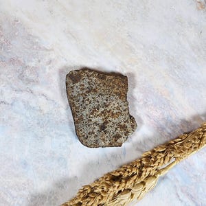 隕石スライス - コンドライトスライス - サハラ砂漠に落下 - 27GR - 隕石岩 - 隕石