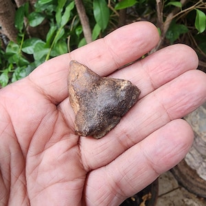 Gebel Kamil Meteorit - Eisen Meteorit - Meteorit Gestein - aus Ägypten - 42gr - Sammlung - Meteorit - Camille Eisen Meteorit