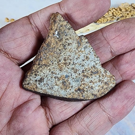 サハラ砂漠　隕石　コンドライト　30mm サハラ砂漠産 コンドライト隕石(サハラNWA869隕石) 54-55x17mm