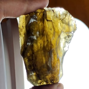 Libyan Desert Glass: Dark Green Tektite Crystal (63.5GR)