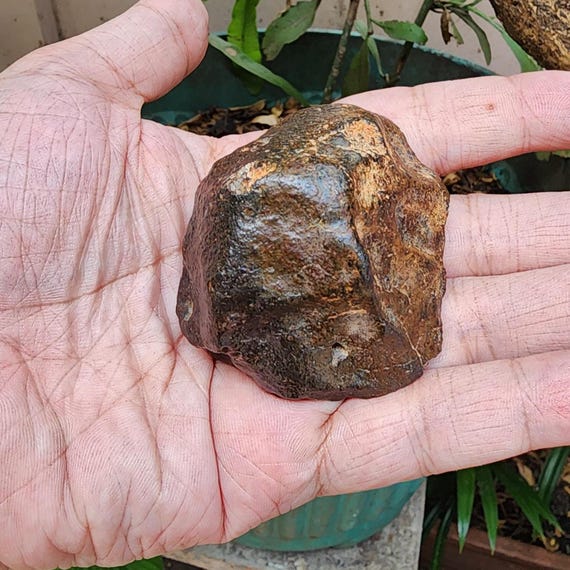 普通コンドライト隕石：モーリタニア砂漠産、156グラム - Etsy 日本