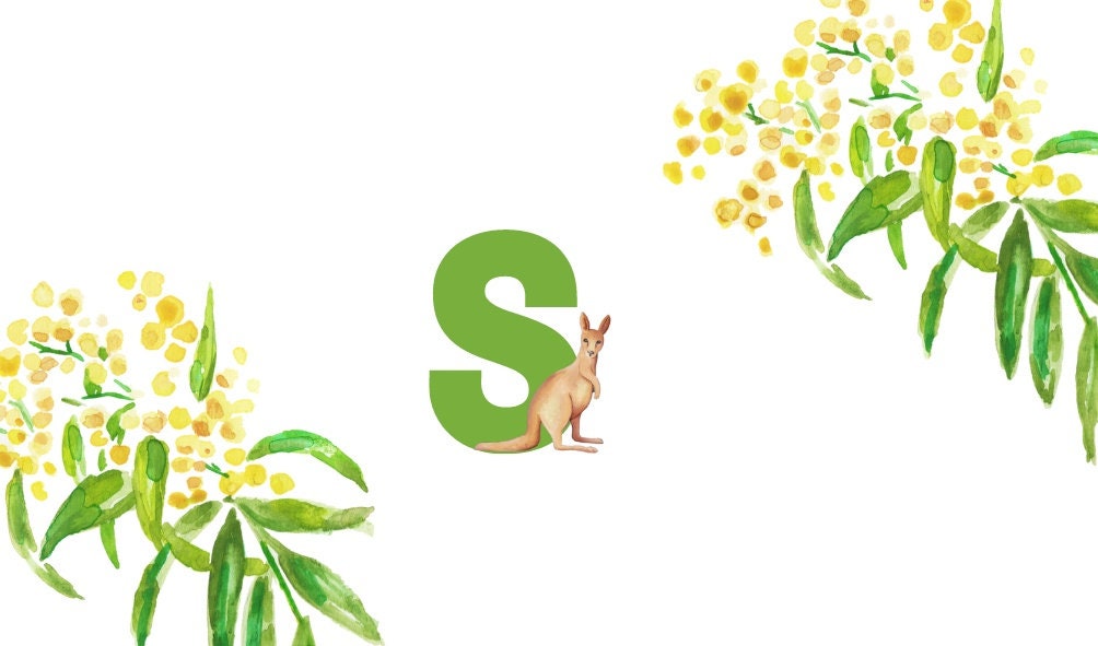 PERSONALISED Christmas Crackers/bon Bons Australian Theme. Flat Packed