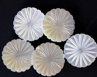 Antique Carved Mother of Pearl Sunburst Buttons 19th Century - Set of Five 1" Brass Box Shank