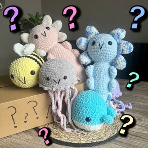 Crochet Amigurumi Mystery Box | Crochet Mystery Box | 3 Mystery Crochet Items