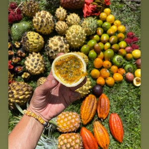 Passionfruit variety seed bundle