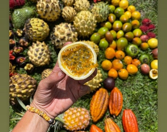Passionfruit variety seed bundle
