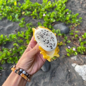 以下が含まれることがあります： 黄色いドラゴンフルーツを半分にカットしたもので、白い果肉と黒い種が見える。カラフルなビーズのブレスレットをした手でフルーツを持っている。