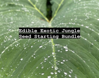 Edible Exotic Jungle Seed Starting Kit
