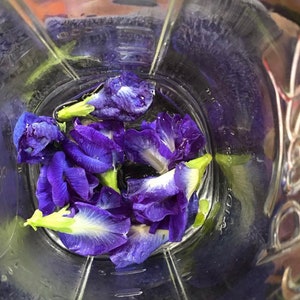 K&ouml;nnte beinhalten: Nahaufnahme eines Mixers, der mit Wasser und blauen Schmetterlingserbsenbl&uuml;ten gef&uuml;llt ist. Die Bl&uuml;ten schweben im Wasser und haben eine leuchtende blaue Farbe.