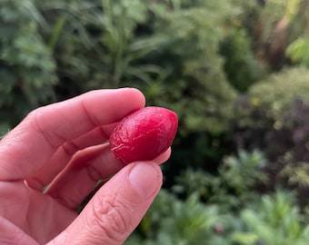 Peanut Butter Fruit Seeds