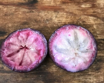 Purple star apple seeds