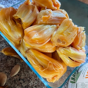 Zimmen Pink Jackfruit Seeds