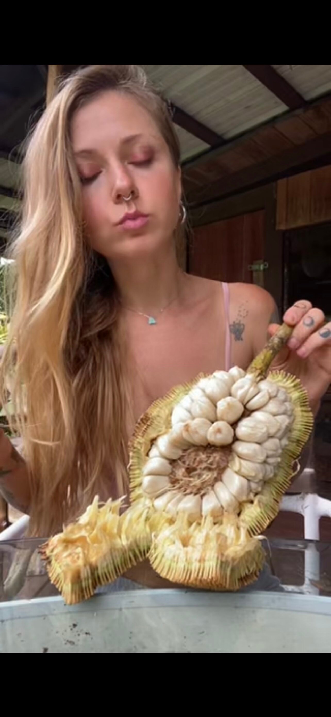 Marang Fruit Seeds (RARE) - Etsy