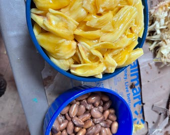 Jackfruit Seeds, Organically Grown