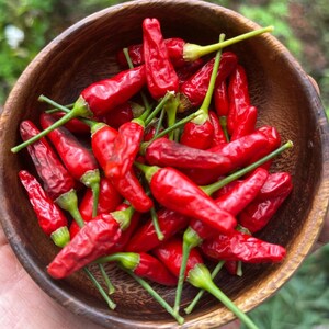 Hawaiian Chili Pepper Seeds