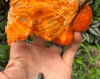 Orange Soursop Seeds (Annona spinescens)