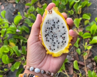 Yellow dragonfruit Seeds