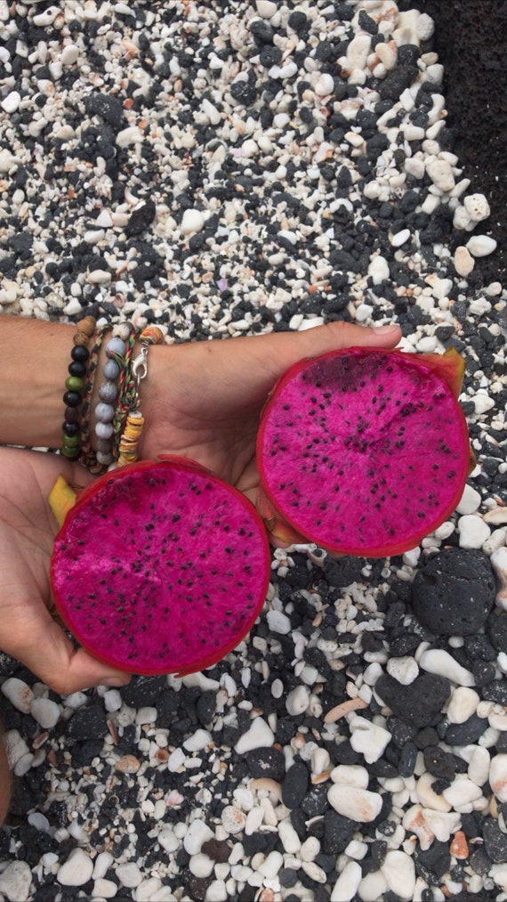Red dragonfruit seeds