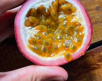 Purple Passionfruit (lilikoi) Seeds