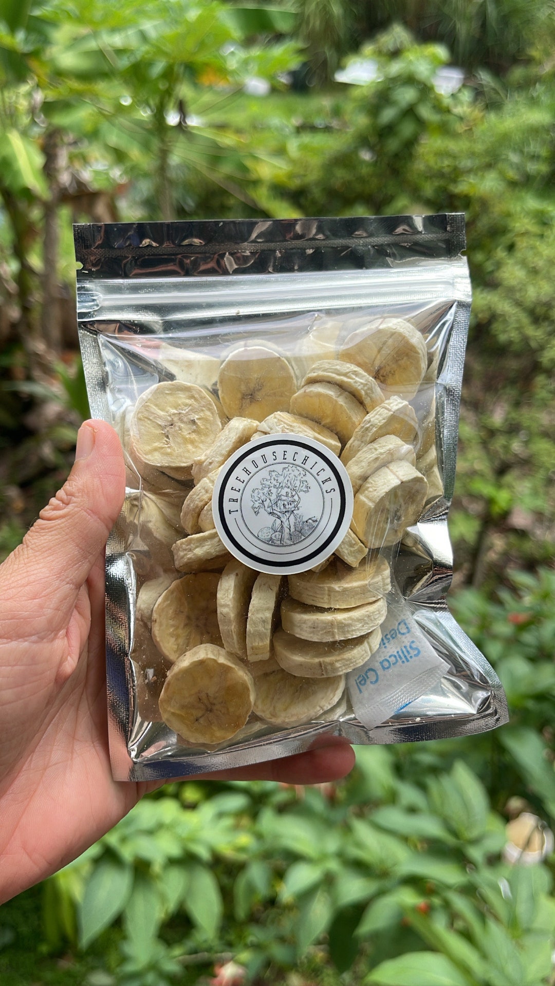 Freeze Dried Bananas Etsy