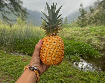 White pineapple seeds!!