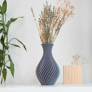 Pu&ograve; includere: Due vasi con fiori secchi. Il vaso pi&ugrave; grande &egrave; grigio e ha un motivo a spirale. Il vaso pi&ugrave; piccolo &egrave; arancione chiaro e ha un motivo a righe.