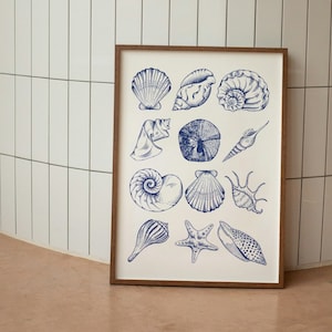 Może przedstawiać: Wydruk w ramie z białym tłem i niebieskimi ilustracjami różnych muszli i rozgwiazdy.