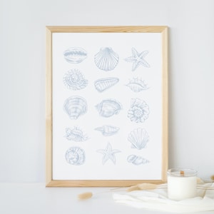 Seashells Print: Coastal Light Blue Beach House Wall Art (Digital Download)
